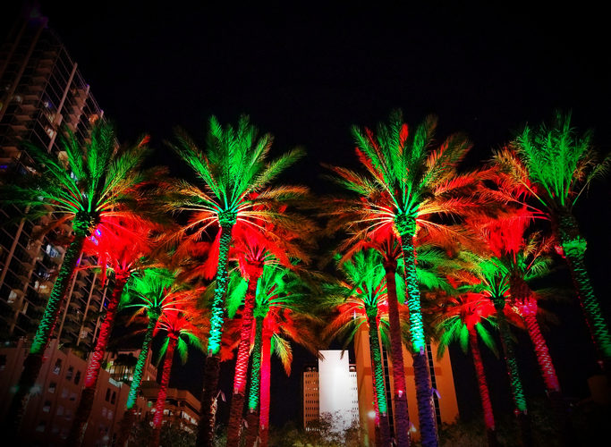 Curtis Hixon park in Tampa, FL lit up for the holidays