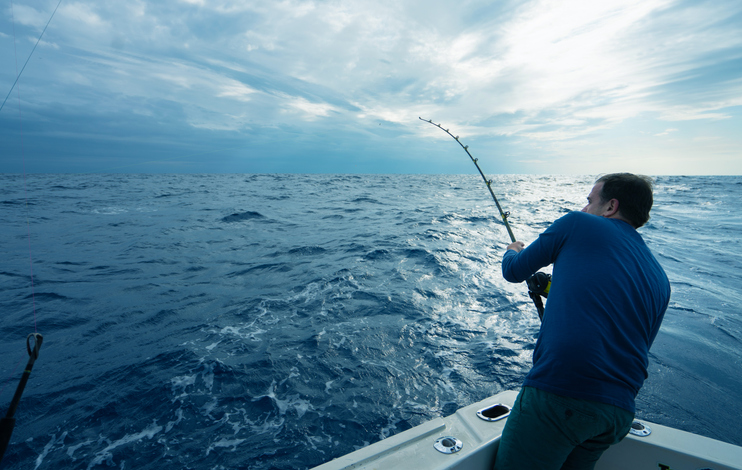 Florida's Top Saltwater Fishing Spots