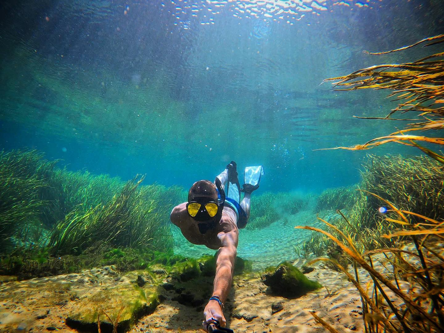 Explore Florida's Natural Springs | Florida Farm Bureau Insurance